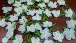 Подготовка к празднику «Белый цветок»