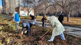 ������� ������-������������� ���������. ���������-�������� ����������� ����� �������� ������ 2024 �.