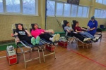 Более 13 литров крови сдали студенты Свердловского областного медколледжа в корпоративный день донора