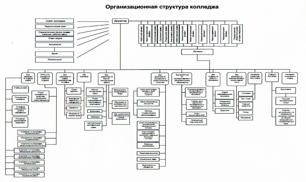 Структура управления в колледже схема